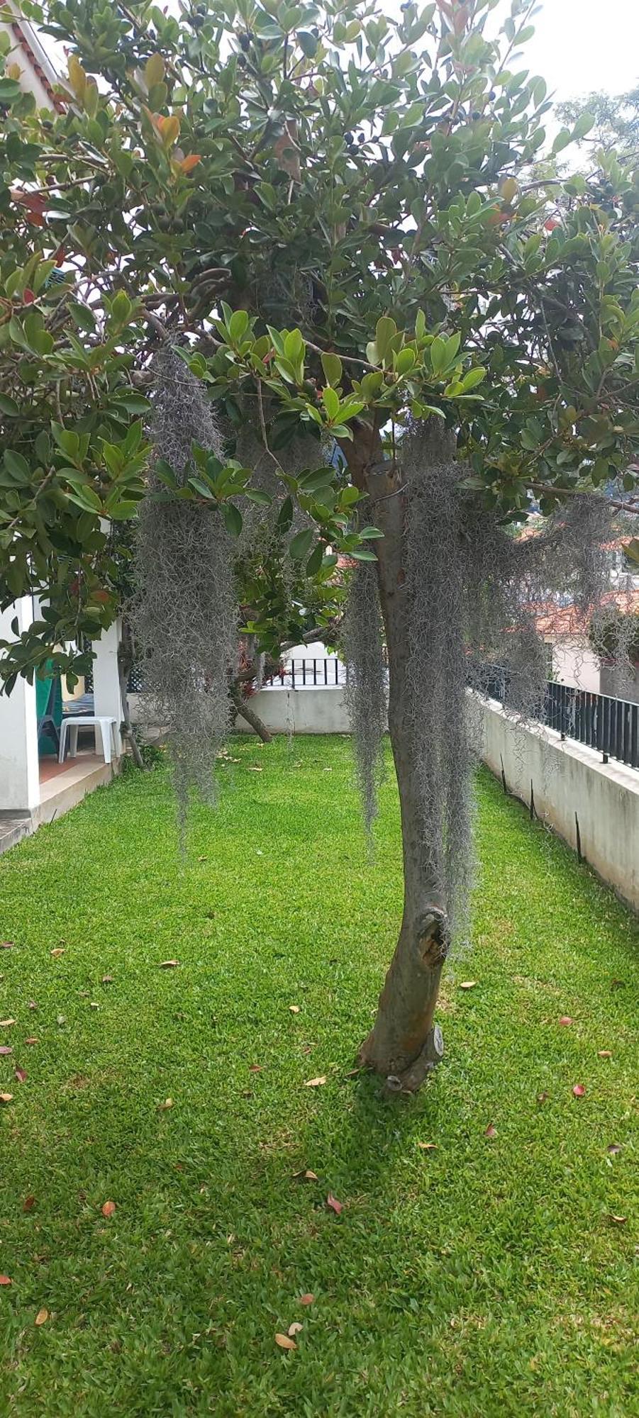 Villa Cosy Nook 푼샬 외부 사진